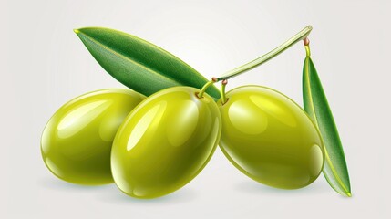 A beautifully detailed old botanical illustration of an olive, showcasing its unique shape and texture on a clean background.
