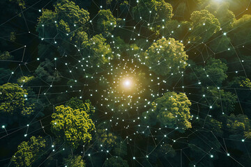 Connected Forest.