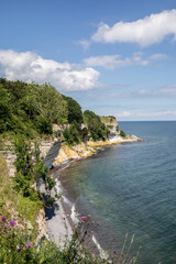 Cliffs of Stevns Klint in Denmark