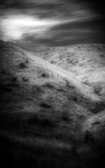 Dried grasses on the hill, abstract topography and textures of the black and white nature background: The dramatic beauty of the Camels Back Trail Hills in Boise, Idaho, USA