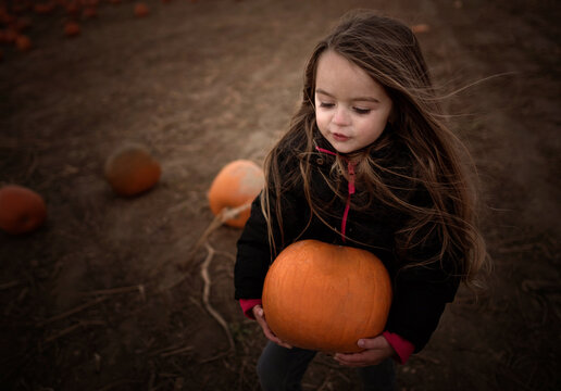 Beautiful little girl carrying large orange pumpkin