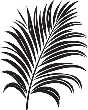 recommend clip art: Black palms tree set vector images illustration. Beautiful palm tree leaf set silhouette, coconut tree silhouette. Silhouette palm trees.