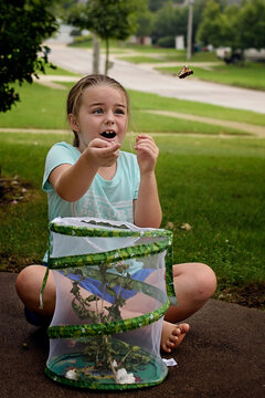 Young girl releasing colorful butterfly outdoors