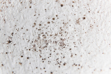 Mold on bathroom ceiling - moist indoor environment - Denmark