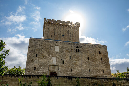 Torre del Orgaz (Orgaztarren Dorrea) in the town of Fontecha, &Aacute;lava, Basque Country, Spain, medieval defensive tower with battlements and part of the palace backlit