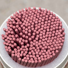 暑さに耐える植物たち