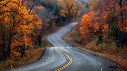 Obraz premium fall foliage road trips, enjoy a scenic drive on winding roads lined with trees in vibrant autumn hues for a picturesque vacation day