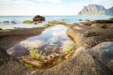 Fototapete bei efototapeten.de bestellen   