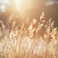 Fototapeta premium Close-up of golden grass swaying gently in the sunlight, capturing the beauty of nature.