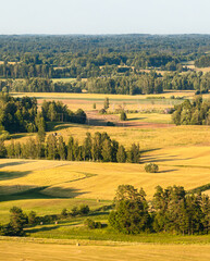 Summer landscape in the countryside of Latvia.