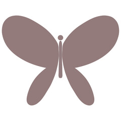 butterfly illustration Insect Fly