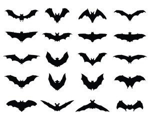 Black silhouettes of different bats on a white background
