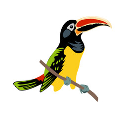 Toucan Exotic colorful bird realistic vector illustration Isolated On transparent Background. Black-feathered tucan with large yellow beak. Tropical bird sitting on tree branch. Exotic animal