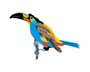 Toucan Exotic colorful bird realistic vector illustration Isolated On transparent Background. Black-feathered tucan with large yellow beak. Tropical bird sitting on tree branch. Exotic animal