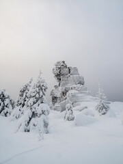 Rock cliff in winter forest is completely covered with hoarfrost.