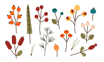 Winter autumn berry plant leaf branch sprout fruit colorful flat set. Holly wild rose viburnum blueberry sea buckthorn lingonberry cranberry. Fall, Thanksgiving Day, Autumn season. © irina