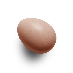 Chicken Egg