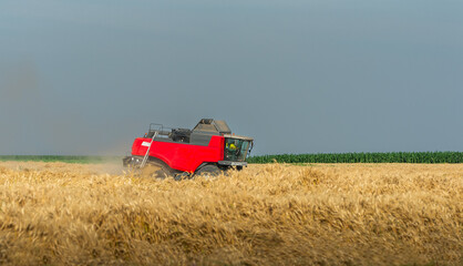 Harvester working in wheatfield at sunset.