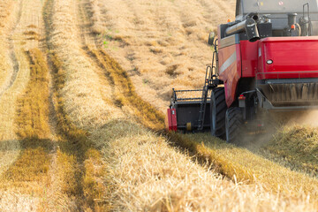 Harvester working in wheatfield at sunset.