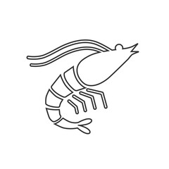 Shrimp icon flat logo. Isolated shrimp on white background. Prawns vector sign