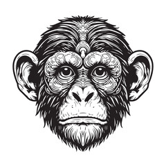 Ape, Monkey vector ilustration logo