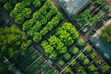 An overhead perspective of a modern urban farm, highlighting innovative hydroponic systems and organic farming methods for sustainable food production