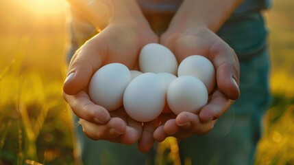 The hands holding eggs