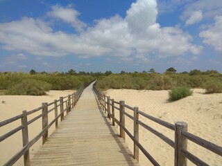 Obraz premium path to the beach