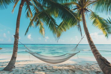 A hammock between two palm trees