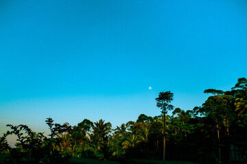 the moon visible in the blue sky in the morning