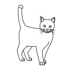 Cat line art