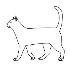 Cat line art