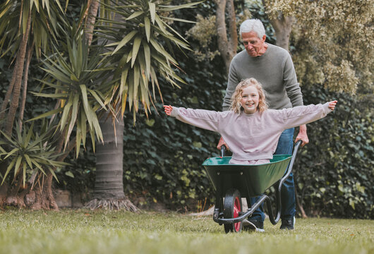 Grandfather, child and happy in wheelbarrow outdoor for transport ride, fantasy play and physical exercise. Smile, senior man and girl with cart for family bonding, safety and balance development