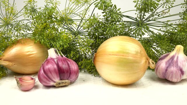 Onion bulbs, heads of garlic, cloves of garlic and heap of green dill umbels lie in a row on a on a white towel, natural background