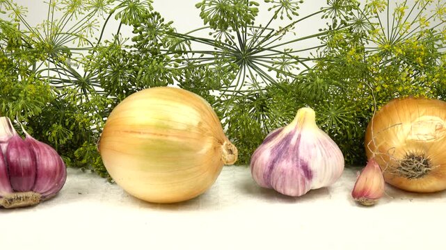 Onion bulbs, heads of garlic, cloves of garlic and  heap of green dill umbels lie in a row on a on a white towel, natural background