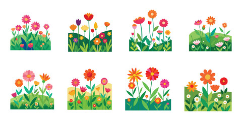 Wild and Garden Plants, Garden Flower Vector.