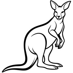 Kangaroo Vector