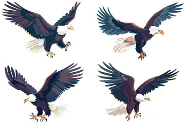 Fototapeta premium Set of American eagle flying, American bald eagle, Set of bald eagle flying, American bald eagle flying on a white background, Vector illustration