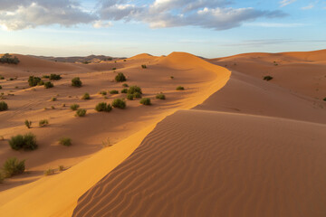 Moroccan attire walks through a desert camp at dusk, with white tents and lanterns arranged on colorful rugs, evoking a sense of cultural richness and hospitality.
