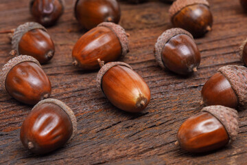 Close-up view of seasonal autumn acorns on an rustic wooden table (selective focus).