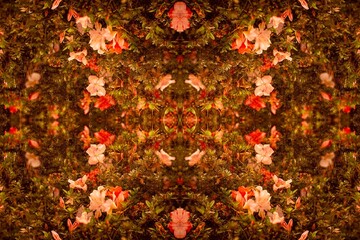 Cerca de plantas e flores tropicais. 