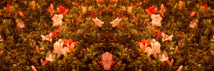 Cerca de plantas e flores tropicais. 