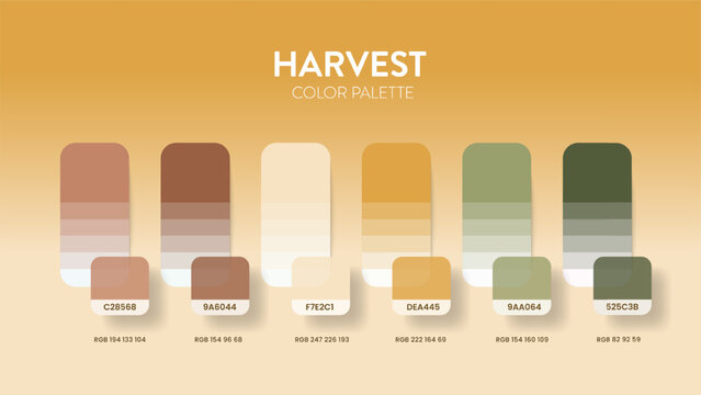 Color palette guide in Fresh colour theme collections. Color inspiration or chart with codes template. Color combination RGB. Colors swatches for graphic design, art, fashion, web or painting. Vector.