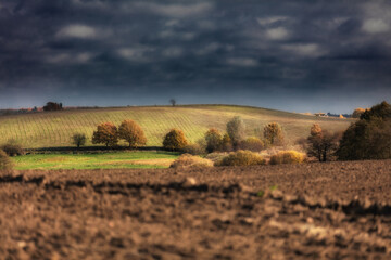 Jesień © Robert