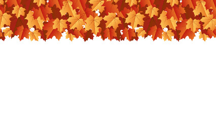 Autumn leaf background with transparent background. Autumn leaf border with transparent background © suicidestock