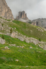 Italian Dolomites during a cloudy summer day. Fresh alpine meadow in foreground, impressive Dolomites mountains in background. Wonderful hiking spot, amazing hiking area in Italy. Outdoor activities.