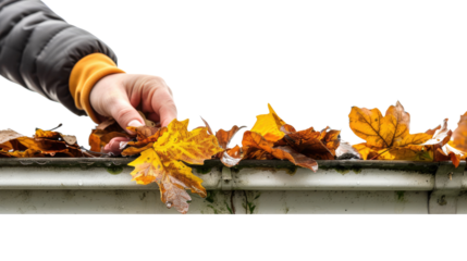 Removing leaves from the gutter transparent background
