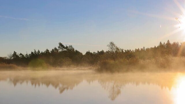 Scenic lake view with morning mist at a forest bog in autumn