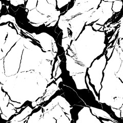 Fototapeta premium Chic Black Grunge Marble Designs on Pristine White Background