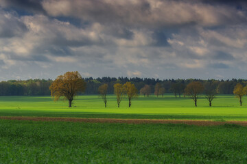 Pomorski krajobraz © Robert